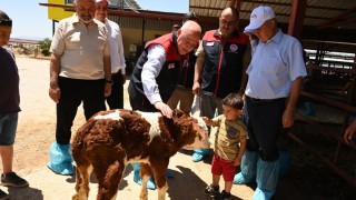 Denizli'de 'Hastalıktan Ari İşletme' Vurgusu: Üreticiye Destek Sürecek!