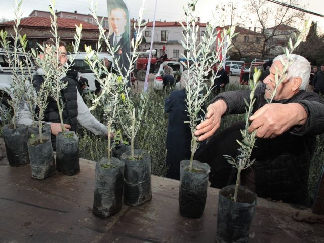 Çanakkale'de Yangından Etkilenen Çiftçilere Zeytin Fidanı Desteği