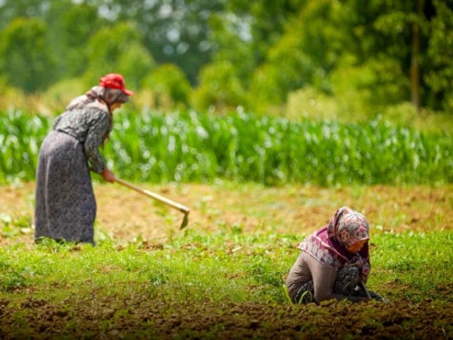 Kocaeli'de Kırsal Kalkınma Atağı: Toramanlar Göleti Projesi Can Suyu Oldu!