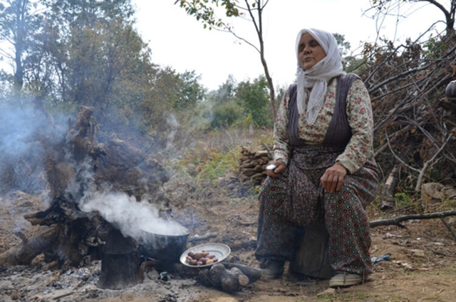 Sırıksız toplanmıyor! Kilosu 25 lira...