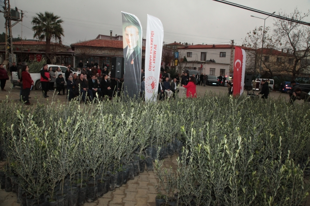 Çanakkale'de Yangından Etkilenen Çiftçilere Zeytin Fidanı Desteği