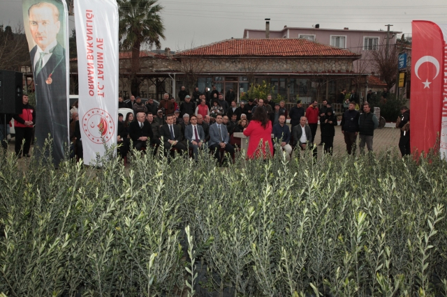 Çanakkale'de Yangından Etkilenen Çiftçilere Zeytin Fidanı Desteği