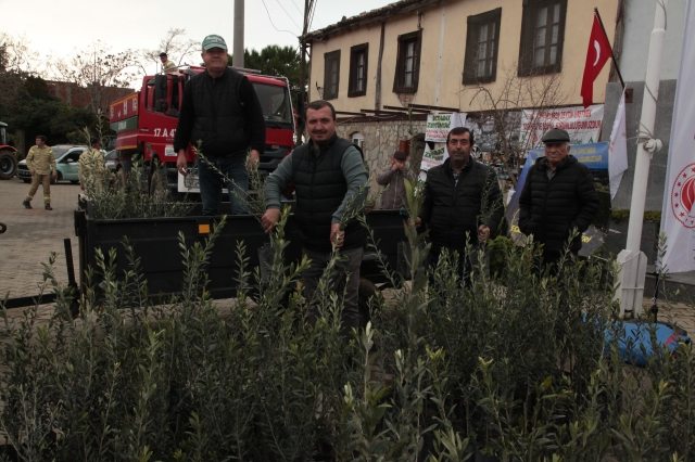 Çanakkale'de Yangından Etkilenen Çiftçilere Zeytin Fidanı Desteği