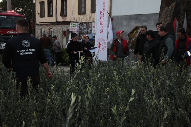 Çanakkale'de Yangından Etkilenen Çiftçilere Zeytin Fidanı Desteği