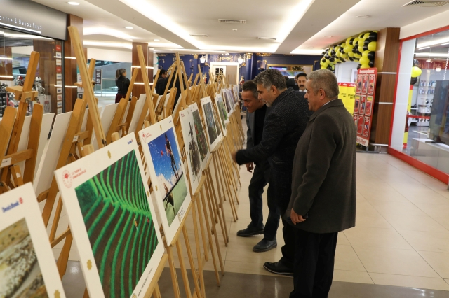 Uluslararası Tarım, Orman ve İnsan Fotoğraf Yarışması Eskişehir'de Sergileniyor