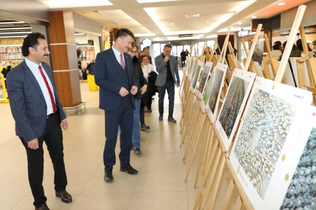 Uluslararası Tarım, Orman ve İnsan Fotoğraf Yarışması Eskişehir'de Sergileniyor