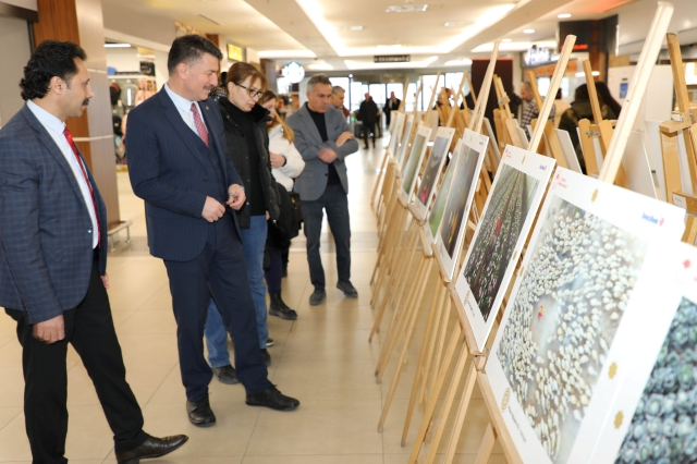 Uluslararası Tarım, Orman ve İnsan Fotoğraf Yarışması Eskişehir'de Sergileniyor