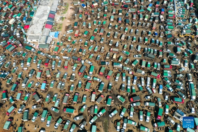 Çin’in Guizhou bölgesinde hayvan pazarı hareketlendi