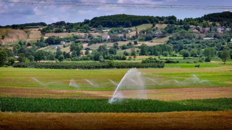 Kocaeli'de Kırsal Kalkınma Atağı: Toramanlar Göleti Projesi Can Suyu Oldu!