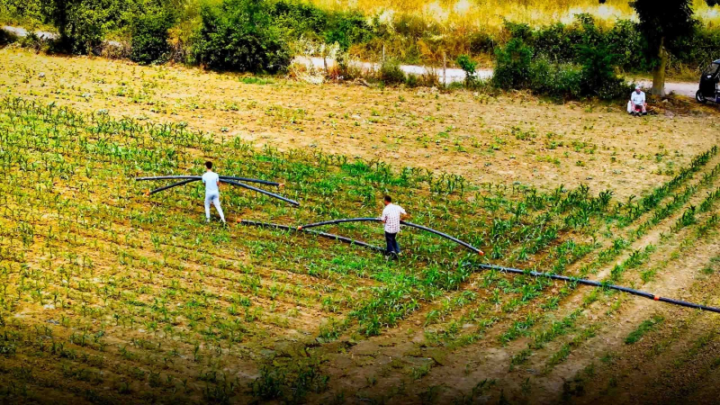 Kocaeli'de Kırsal Kalkınma Atağı: Toramanlar Göleti Projesi Can Suyu Oldu!