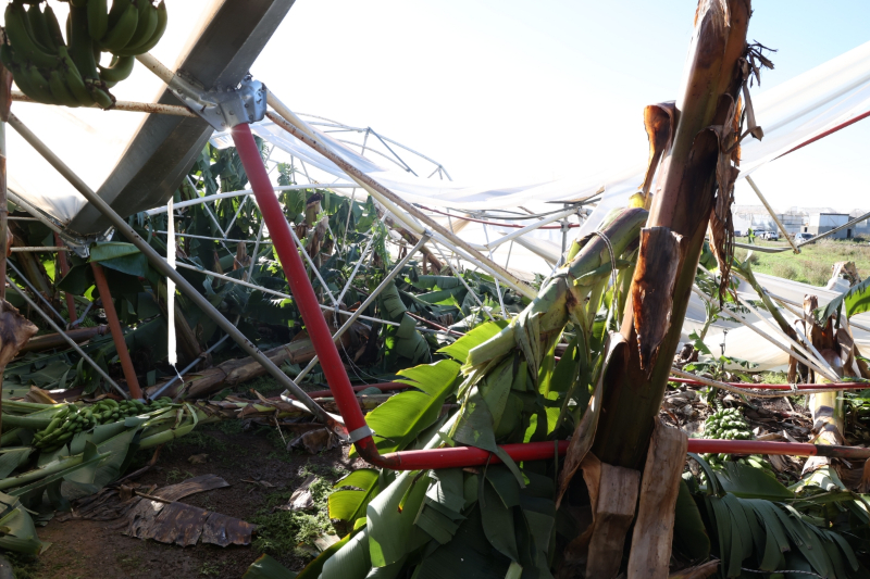 Antalya Büyükşehir, Manavgat’taki hortum sonrası seralarda hasarı inceledi