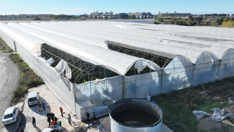 Antalya Büyükşehir, Manavgat’taki hortum sonrası seralarda hasarı inceledi