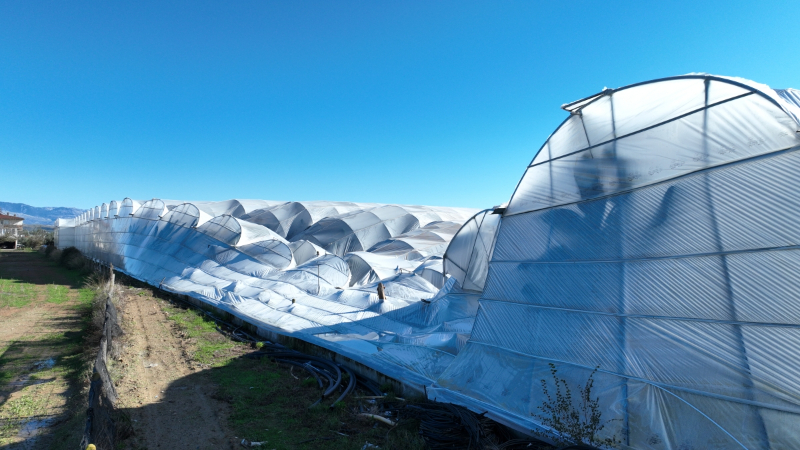 Antalya Büyükşehir, Manavgat’taki hortum sonrası seralarda hasarı inceledi