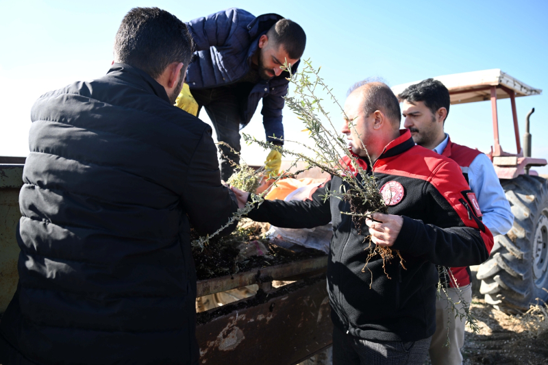 Kayseri İl Tarım ve Orman Müdürlüğü Develi’de Tuz Çalısı Dikti