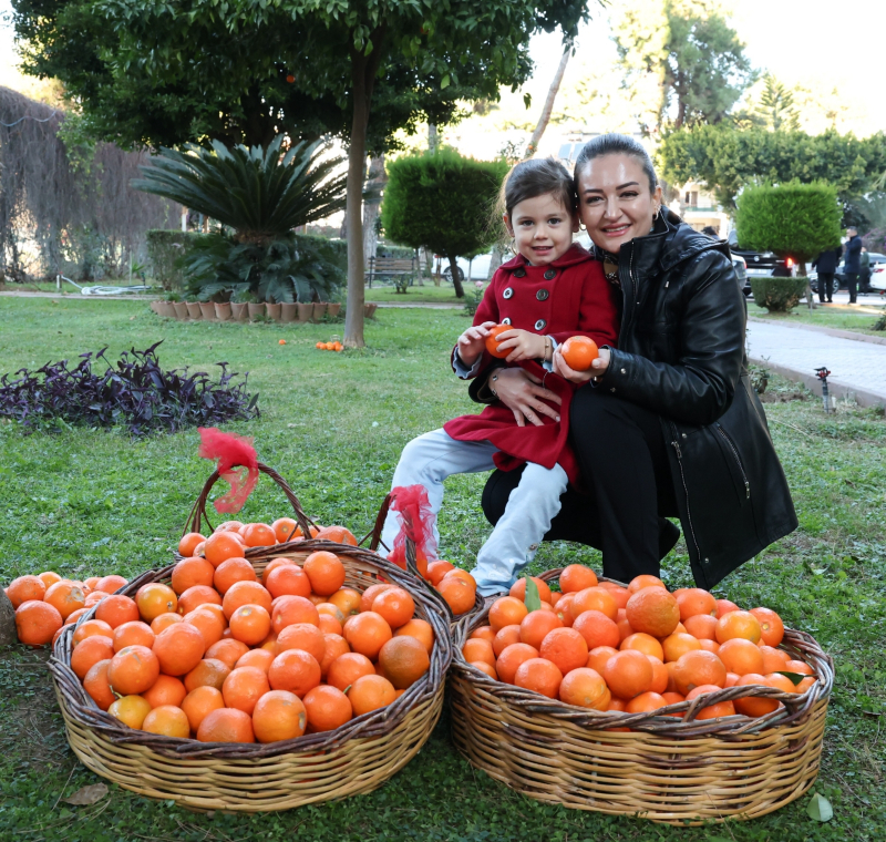 Antalya Büyükşehir Destekledi, Turunç Reçeli Markalaştı