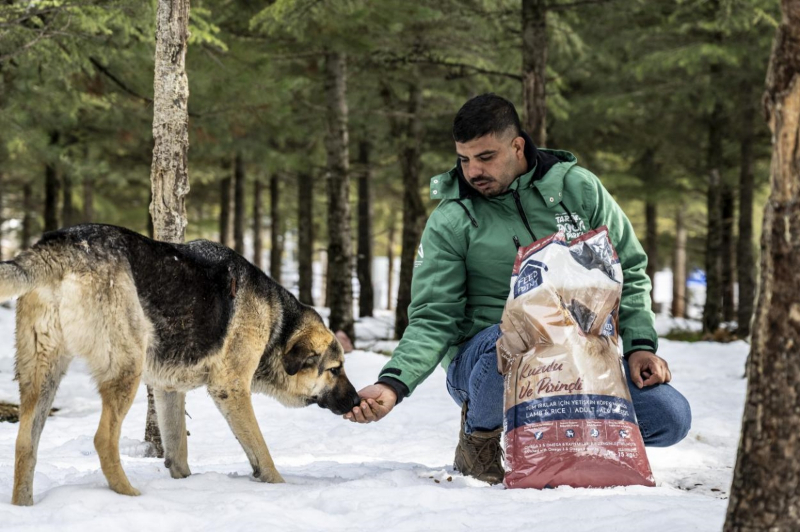 Mersin Büyükşehir, Tarsus Karboğazı’nda yılkı atlarını besledi