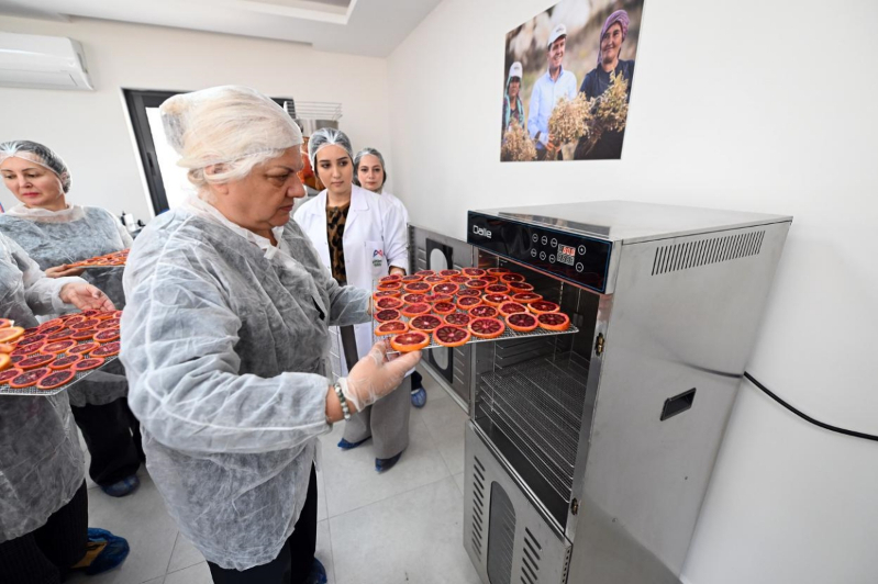 Mersin BŞB Kadınlara Kan Portakalı Kurutma Atölyesi Başlattı