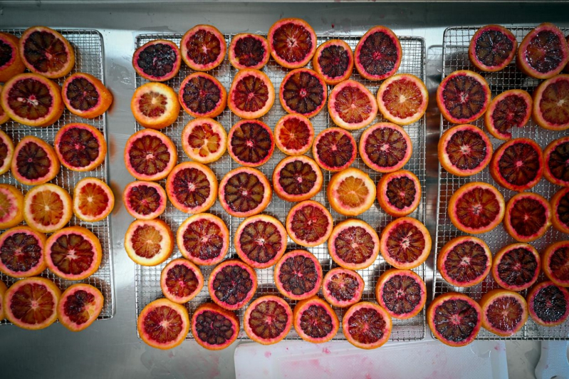 Mersin BŞB Kadınlara Kan Portakalı Kurutma Atölyesi Başlattı