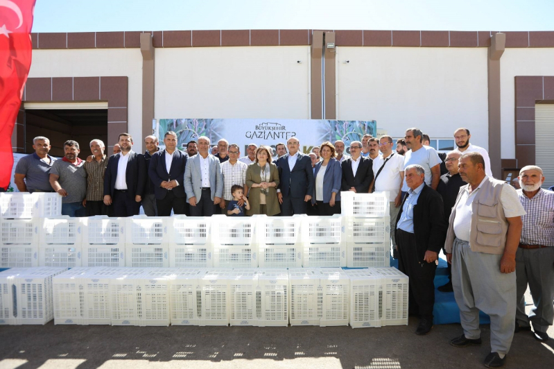 Gaziantep Büyükşehir Nizip’te çiftçilere 3,4 milyon litre mazot verdi