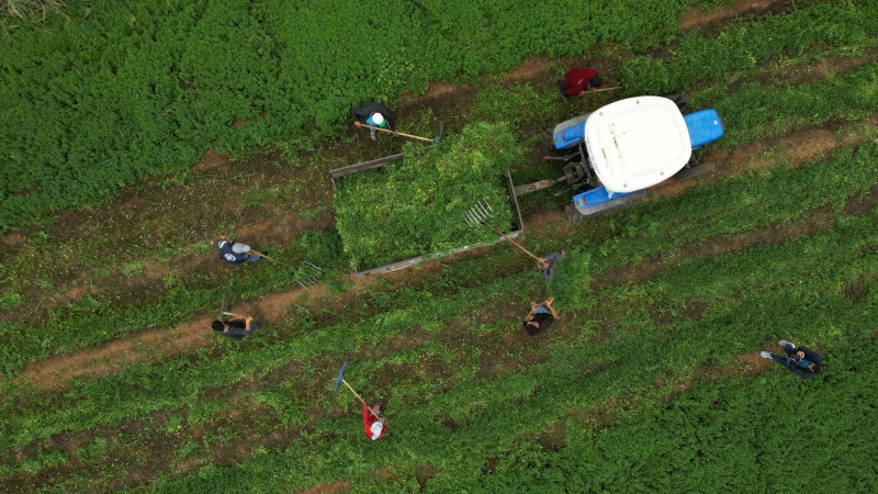 Gaziantep Büyükşehir Nizip’te çiftçilere 3,4 milyon litre mazot verdi