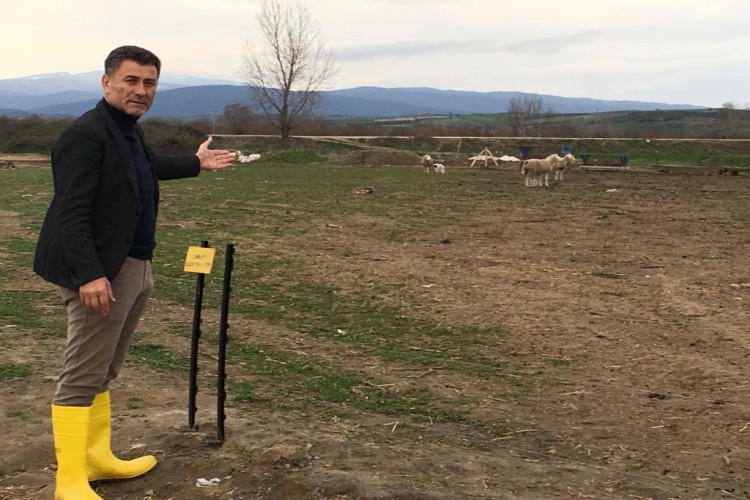 Sarıbal: Bursa'da İthal Hayvanlardan Dolayı Veba Salgını Var