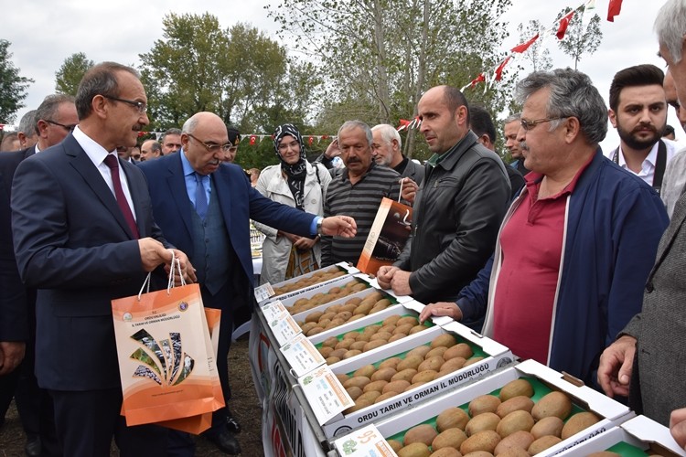 "Ordu Kivisi Hasat Şenliği" Düzenlendi