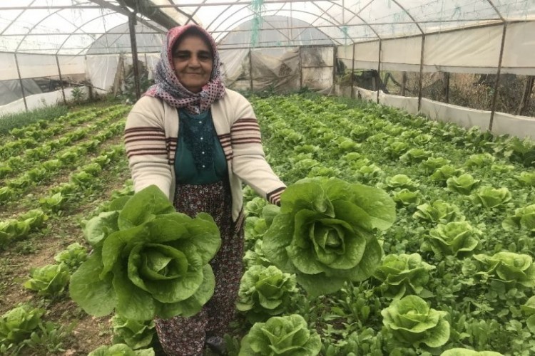 Akseki’de seracılık gelişiyor