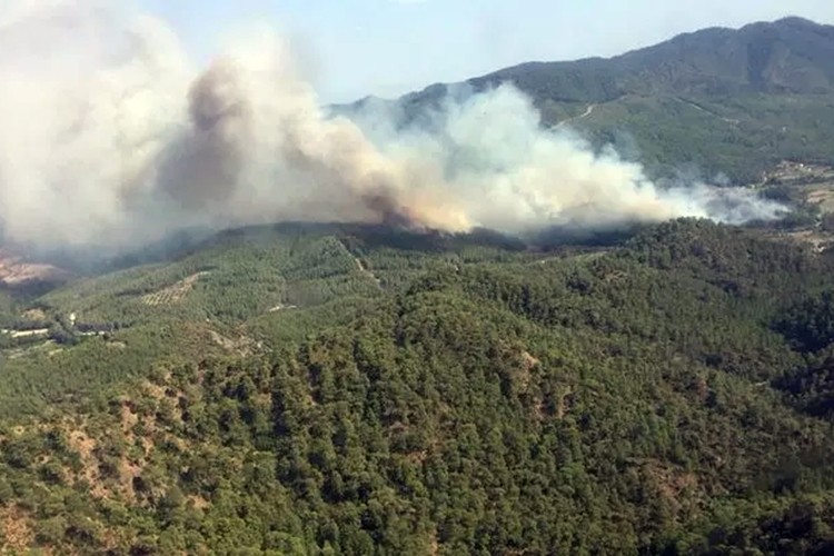 Dalaman Yangınına 13 Dakikada Müdahale Edildi