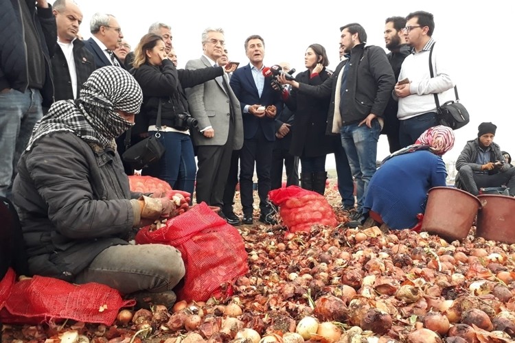 Sarıbal: Soğanlar Nehre Dökülürken Üreticinin Elinden Tutmadınız