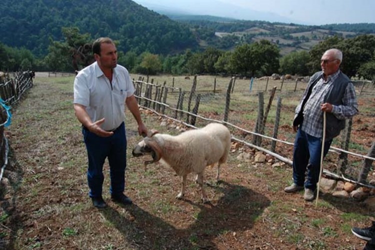 Hayvanların Geldiği Yöne Doğru Gittiğinde Korkunç Manzarayla Karşılaştı