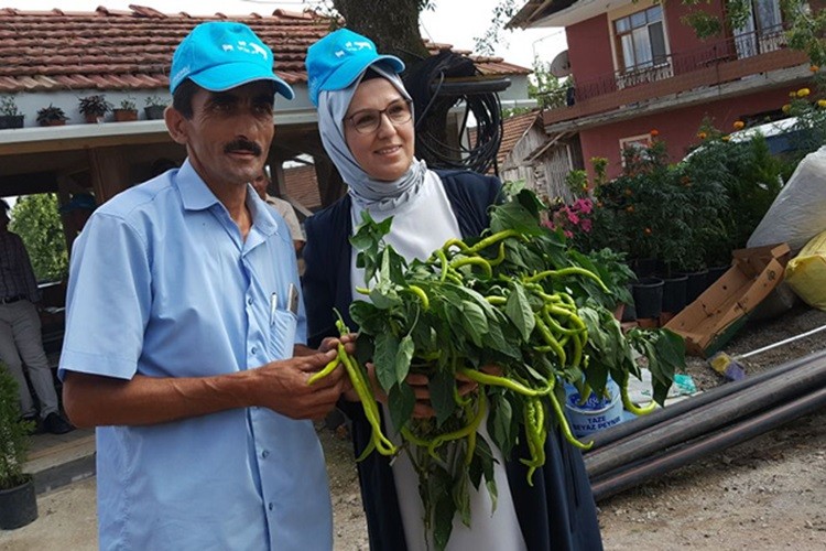 Kocaeli Büyükşehir Belediyesi yerli tohumların peşine düştü