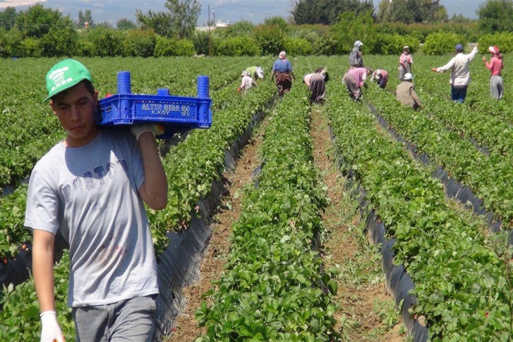 Çiftçilerin Kredi Borç Faizlerinin Silinmesini Teklif Etti