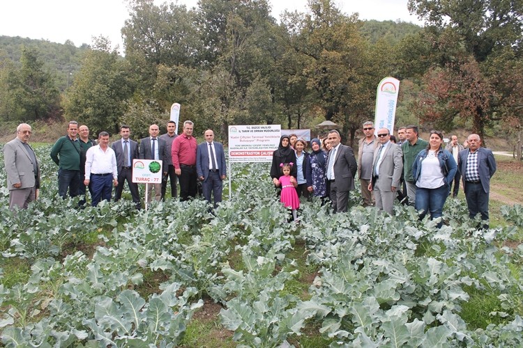 Kadın Çiftçilere Yeni Brokoli Çeşitleri Tanıtıldı