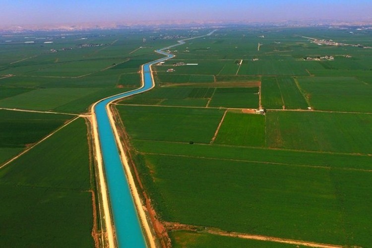 Harran Ovası GAP İle İhya Oldu