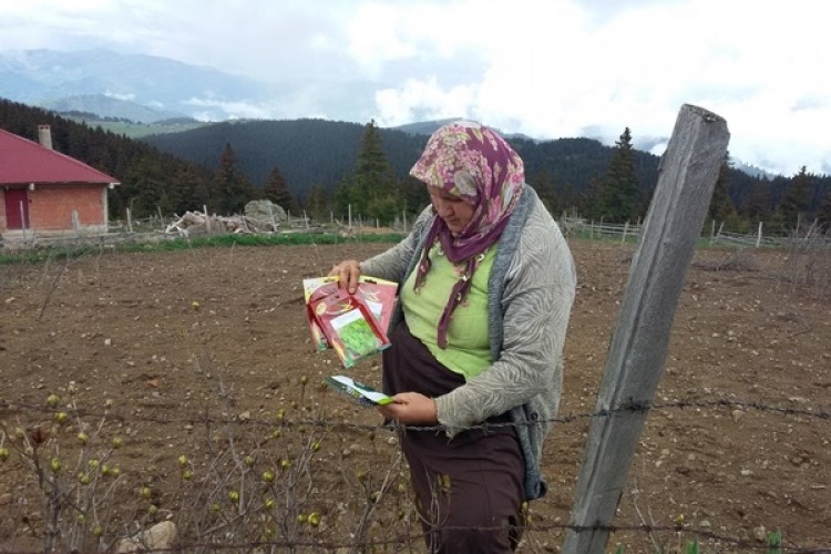 Giresun’da Yayla Sebzeciliğinin Geliştirilmesi İçin Sebze Tohumu Dağıtıldı