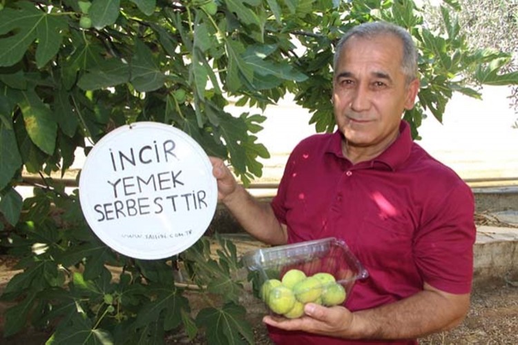 İncirlerinden kimse yemeyince bahçesine tabela astı