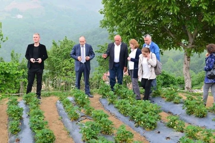 Fiyatlar Yükselince Üreticinin Çileğe İlgisi Arttı