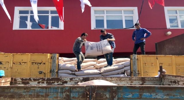 Akörenli Çiftçiler Tohumluk Arpa Sevinci Yaşadı