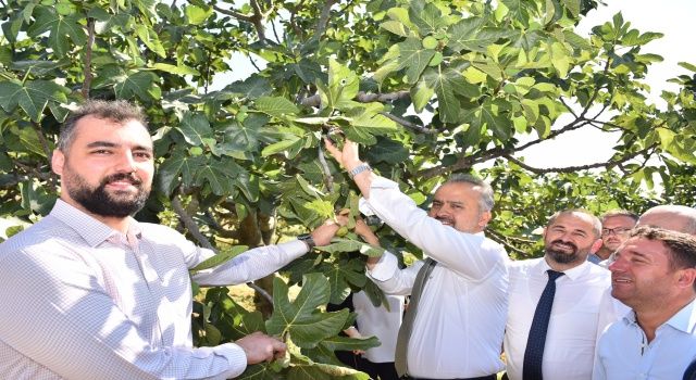 Bursa’nın İncisi’nde hasat başladı