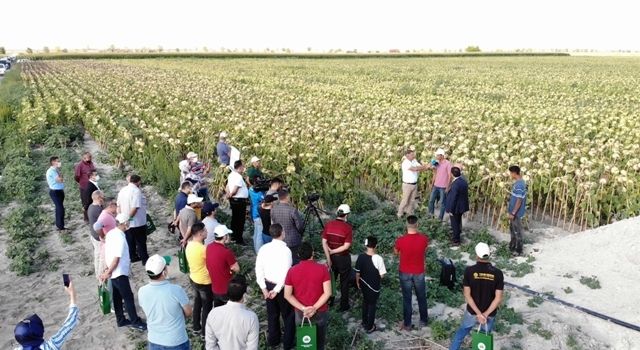 KOP’un Yenilikçi Projesi Tarla Günü Etkinliğiyle Tanıtıldı