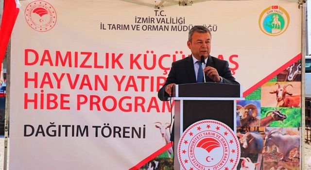 İzmirli Yetiştiricilere 4 bin 800 Küçükbaş Hayvan Hibe Edildi