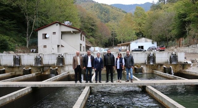 Su ürünleri tesislerimizde yıllık 325 ton balık eti üretiliyor