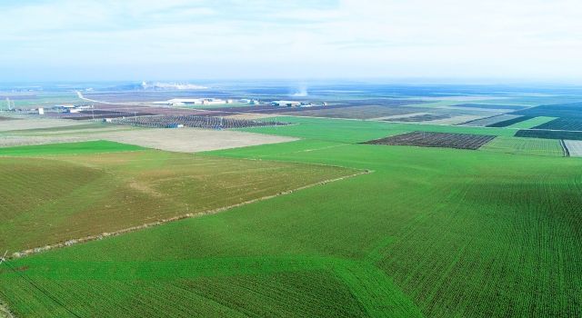 TEMA Vakfı 2023’ün Çevre Olaylarını Değerlendirdi