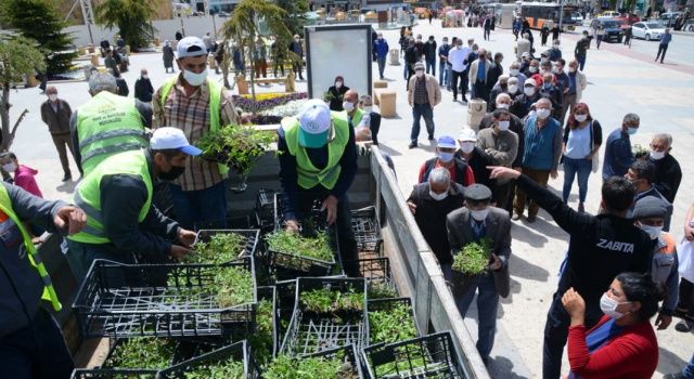 Yeşil Gelecek İçin Atık Materyaller Fidana Dönüşüyor: Kırşehir’de Örnek Kampanya