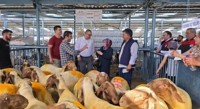 Denizli'de Kurban Bayramı İçin Sağlık ve Güvenlik Önlemleri Alındı