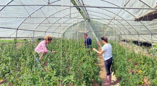 Giresun'da Tarım Bakanlığının EKÜY Projesi Kapsamında Üreticilere Eğitim Verildi