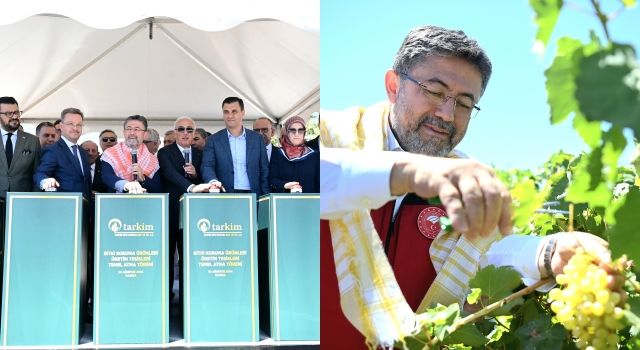 Bakan Yumaklı, Manisa'da Tarım Yatırımlarını ve Üzüm Hasadını İnceledi