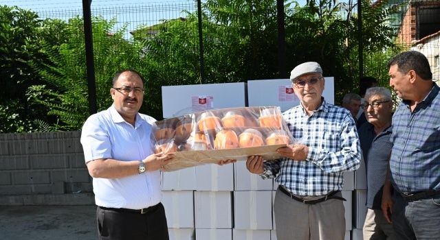 Denizli’de Akdeniz Meyve Sineği ile Biyoteknik Mücadele Başladı