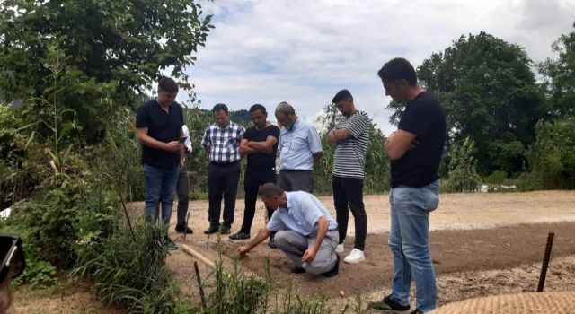 Giresun’da Salep Yetiştiriciliği Projesi Başarıyla Devam Ediyor