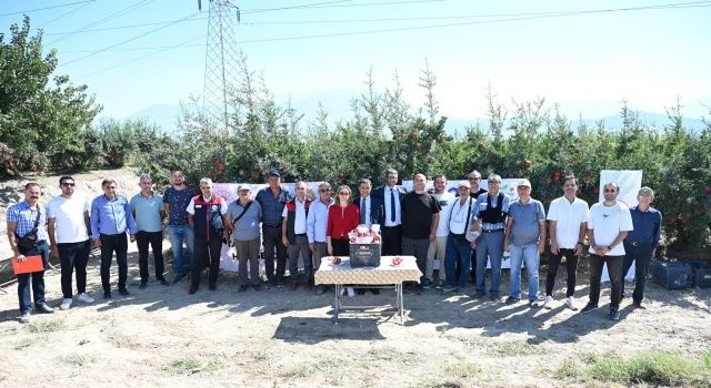 Denizli’de Biyolojik Mücadele ile Pestisit Kalıntısına Son: Nar Üretiminde Örnek Proje